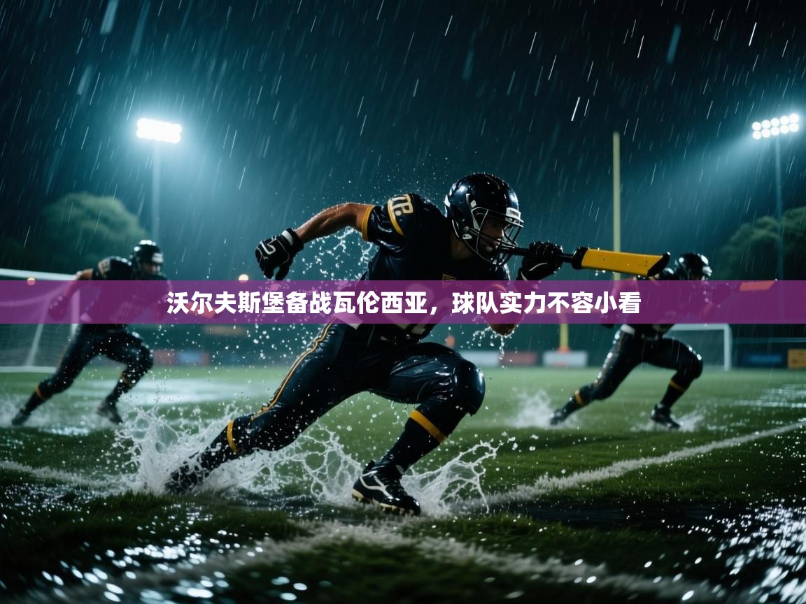 沃尔夫斯堡备战瓦伦西亚，球队实力不容小看  第2张